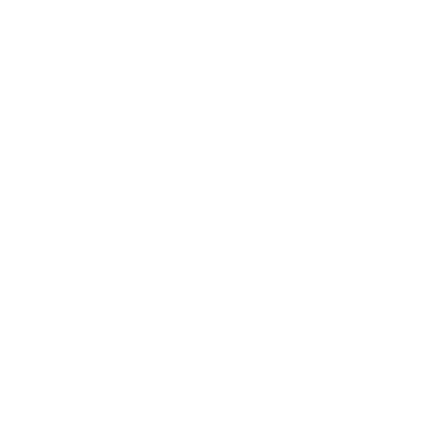 Benjamin Strozak - za župana Velenja