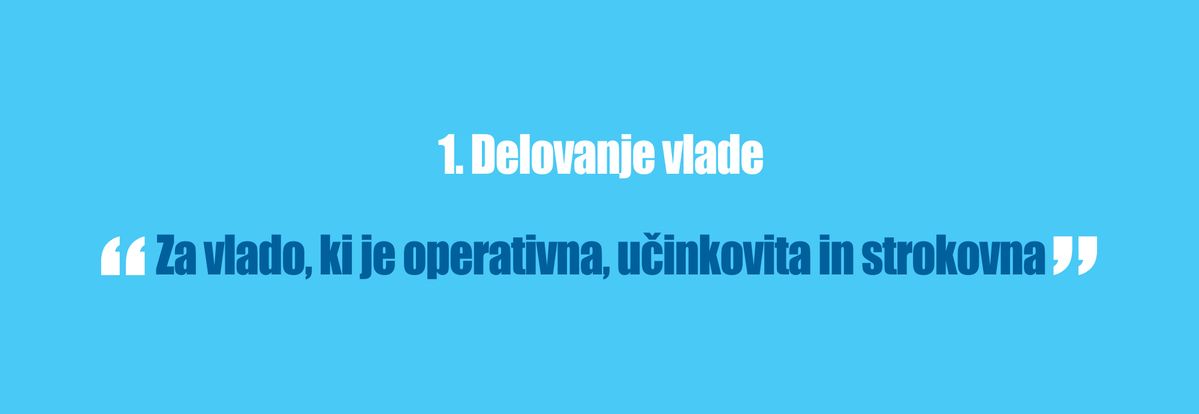 Delovanje vlade